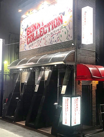 新潟バニーコレクション